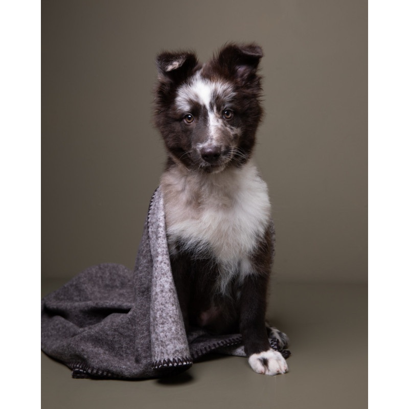 Koc Yuki Dark Edge — detal