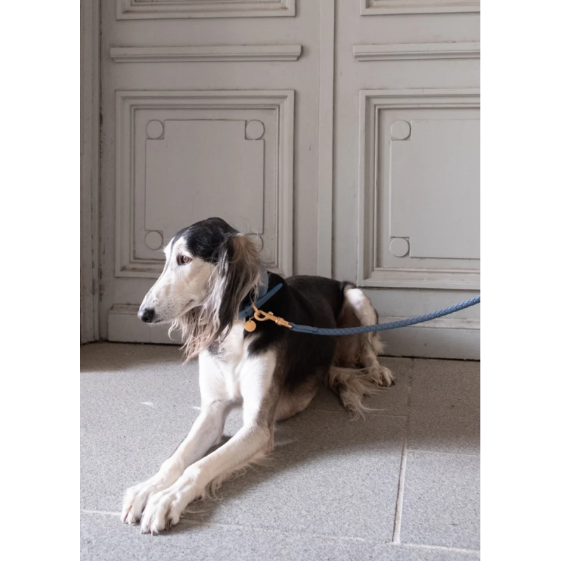 Smycz Ferdinando Dusty Blue 2.8 Design for Dogs — skóra pleciona | ventisei&Co.