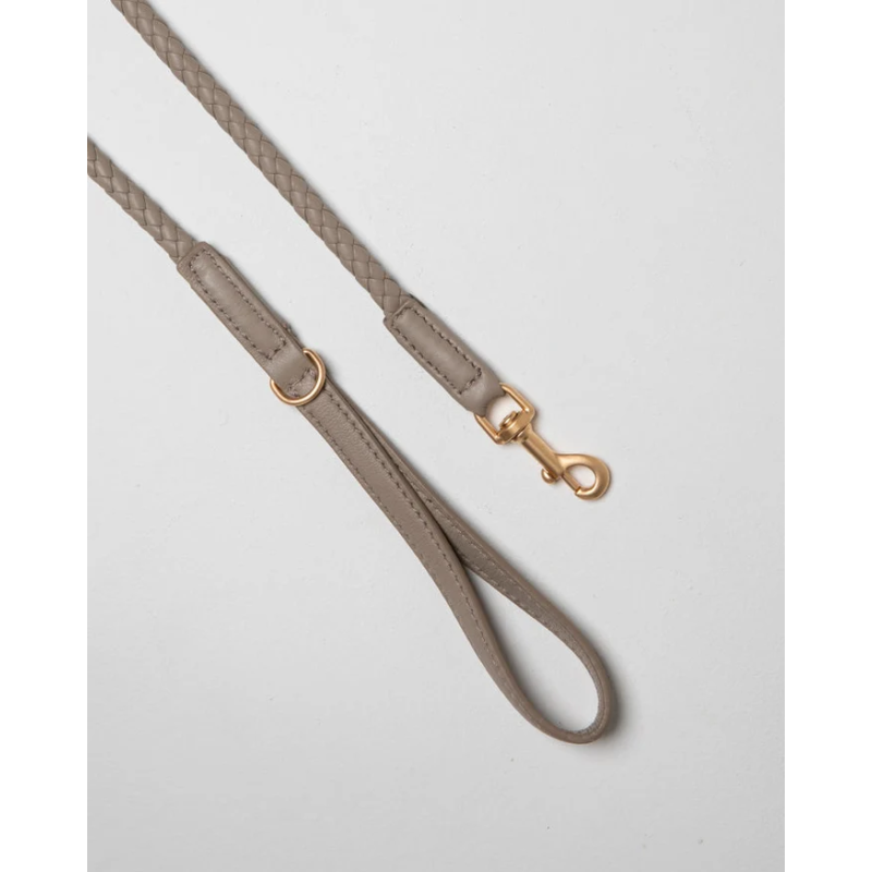 Smycz Ferdinando Lazy Taupe 2.8 Design for Dogs — skóra pleciona | ventisei&Co.