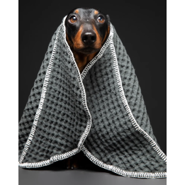 Ręcznik Sally Dotto 2.8 Design for Dogs — Paola Navone | ventisei&Co.
