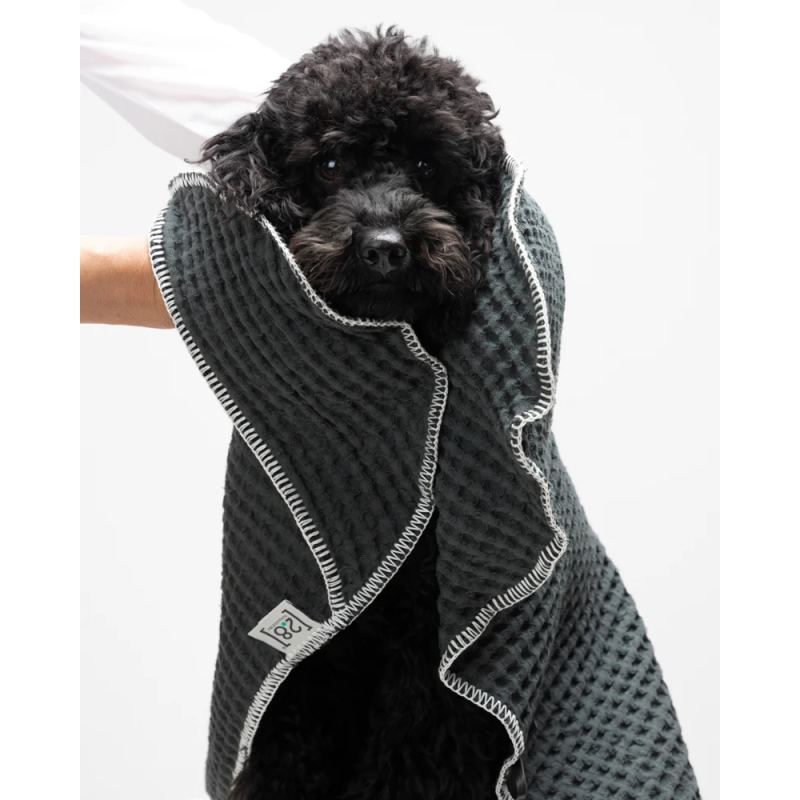 Ręcznik Sally Dotto 2.8 Design for Dogs — Paola Navone | ventisei&Co.