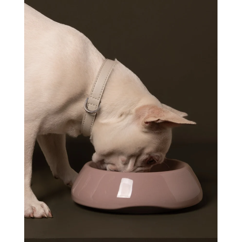 Miska Sarah Dusty Pink 2.8 Design for Dogs — ceramika | ventisei&Co.