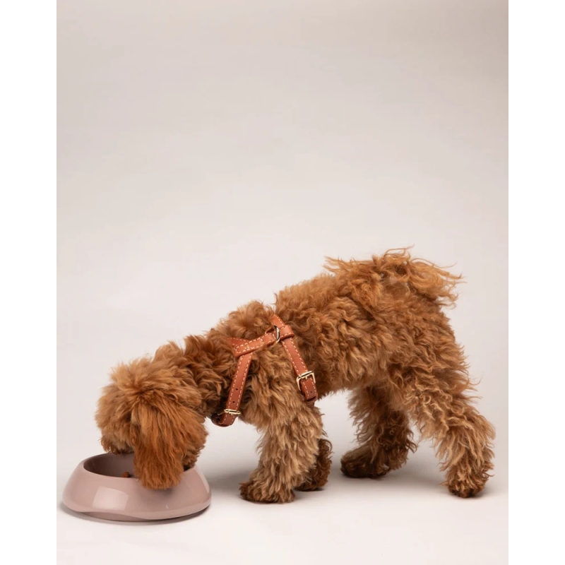 Miska Sarah Dusty Pink 2.8 Design for Dogs — ceramika | ventisei&Co.