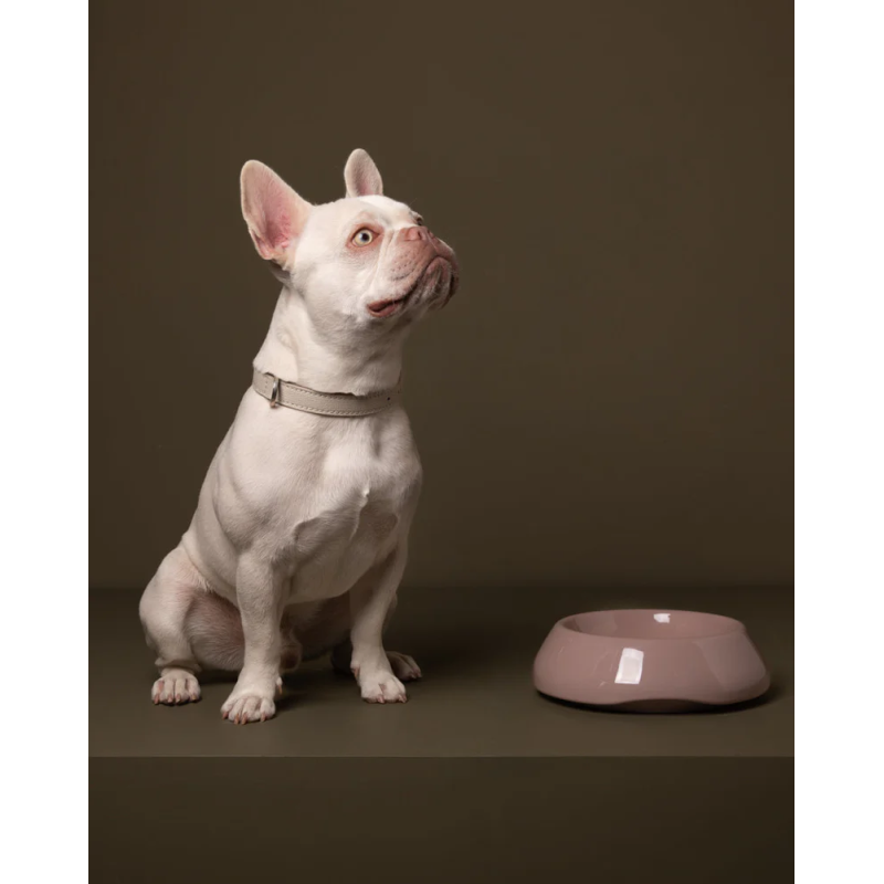 Miska Sarah Dusty Pink 2.8 Design for Dogs — ceramika | ventisei&Co.