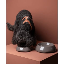 Miska Sarah Mud 2.8 Design for Dogs — ceramika | ventisei&Co.