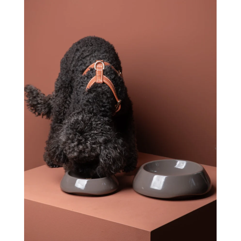 Miska Sarah Mud 2.8 Design for Dogs — ceramika | ventisei&Co.