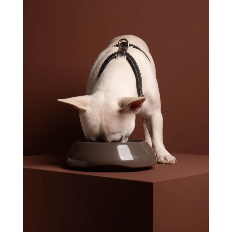Miska Sarah Mud 2.8 Design for Dogs — ceramika | ventisei&Co.