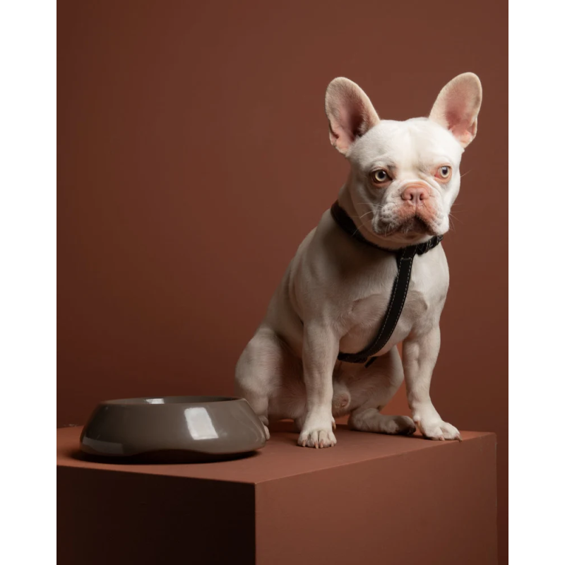 Miska Sarah Mud 2.8 Design for Dogs — ceramika | ventisei&Co.