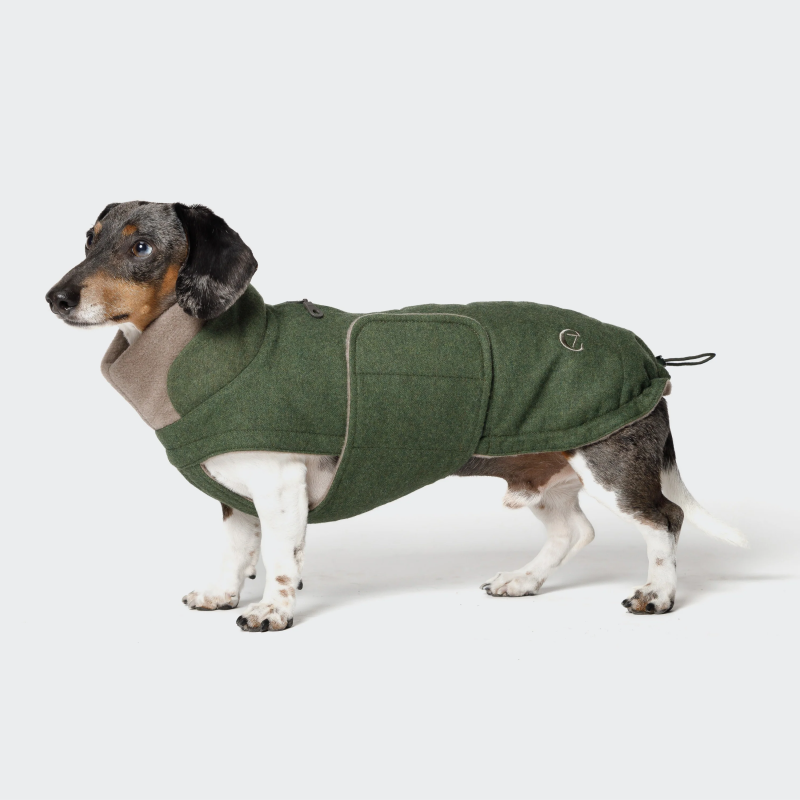 Płaszcz zimowy dla jamnika Brooklyn Fern Green | Cloud7