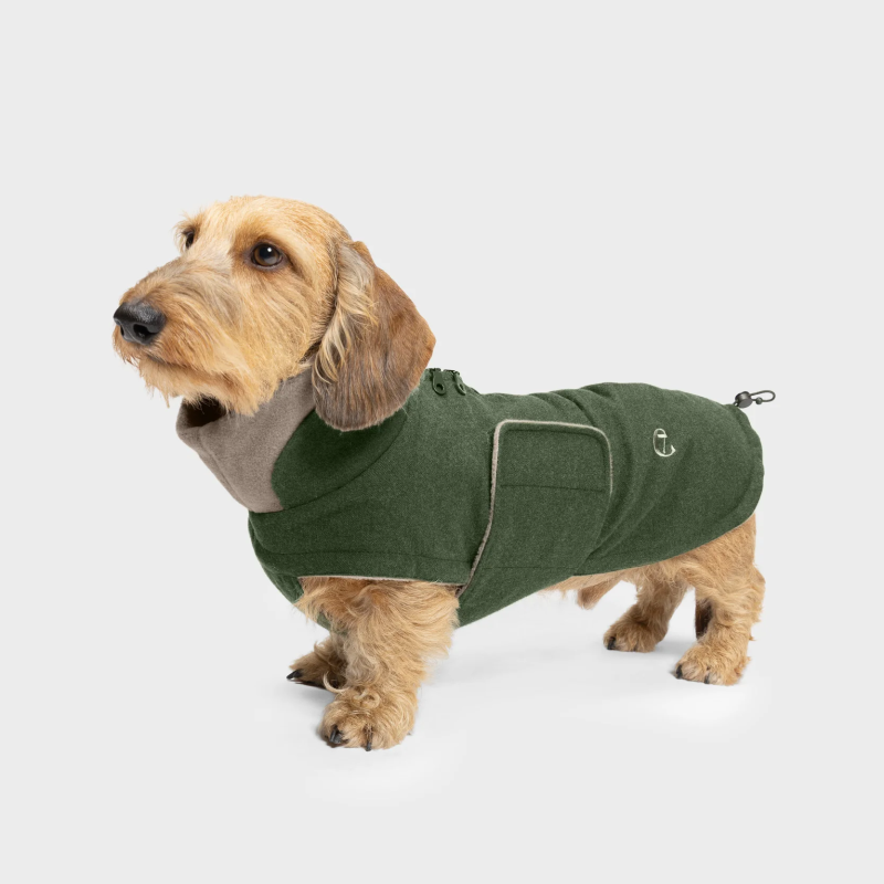 Płaszcz zimowy dla jamnika Brooklyn Fern Green | Cloud7