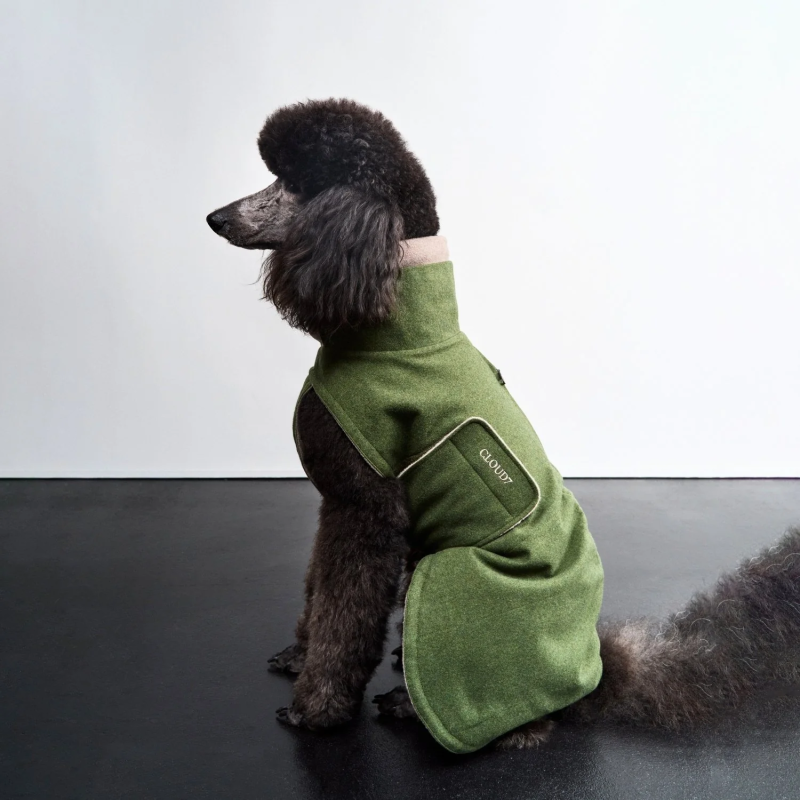 копія Płaszcz zimowy dla jamnika Brooklyn Flanell Fern Green