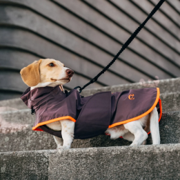 Płaszcz przeciwdeszczowy dla jamnika AKTIV Aubergine/Orange