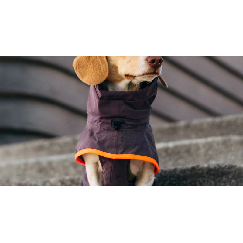 Płaszcz przeciwdeszczowy dla jamnika AKTIV Aubergine/Orange