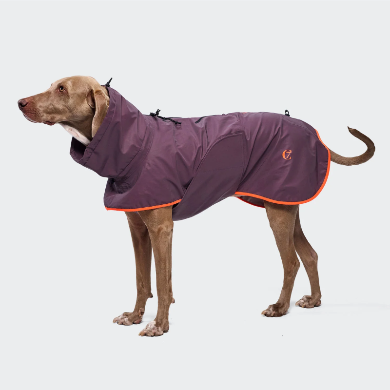 копія Płaszcz przeciwdeszczowy dla jamnika AKTIV Aubergine/Orange