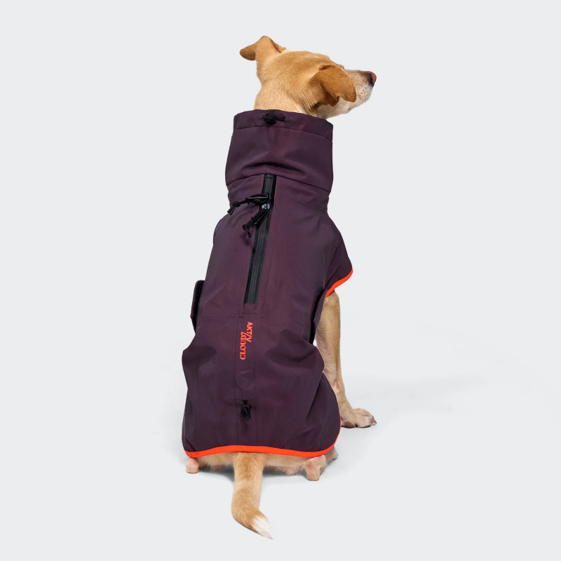копія Płaszcz przeciwdeszczowy dla jamnika AKTIV Aubergine/Orange