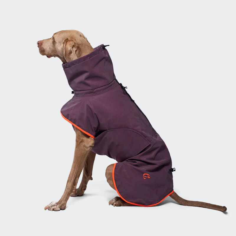 копія Płaszcz przeciwdeszczowy dla jamnika AKTIV Aubergine/Orange