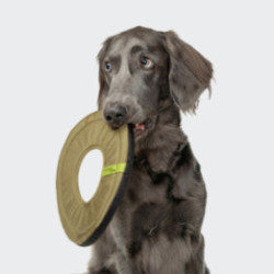 Frisbee AKTIV Khaki
