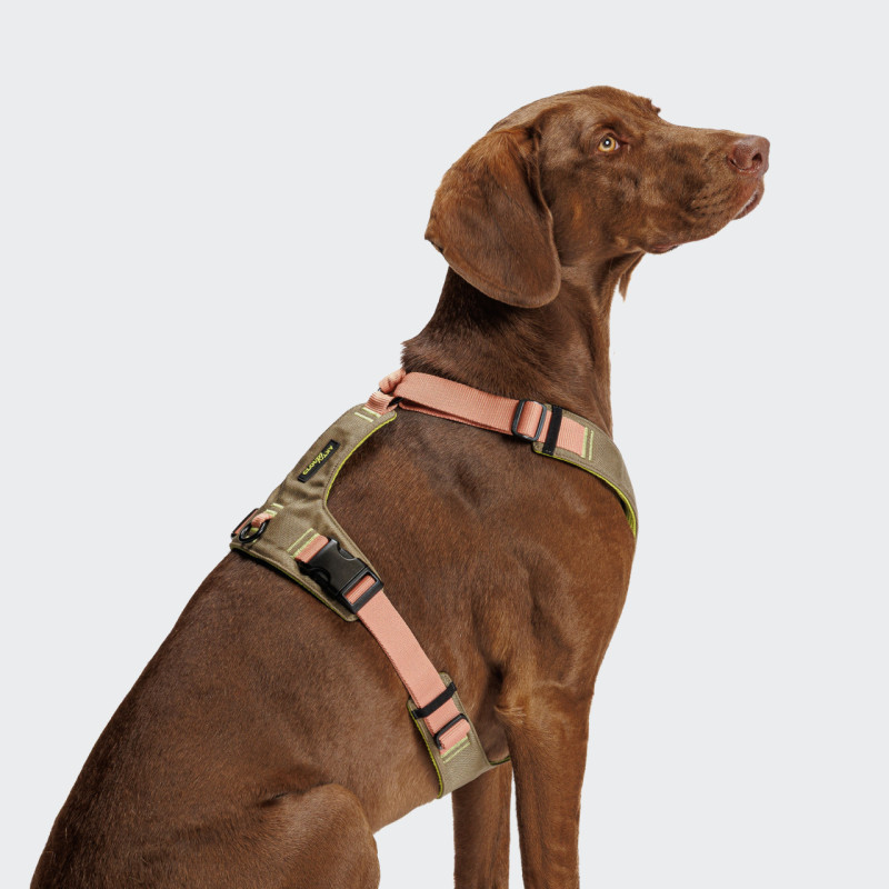 Szelki Cloud7 Cordura Peach na psie