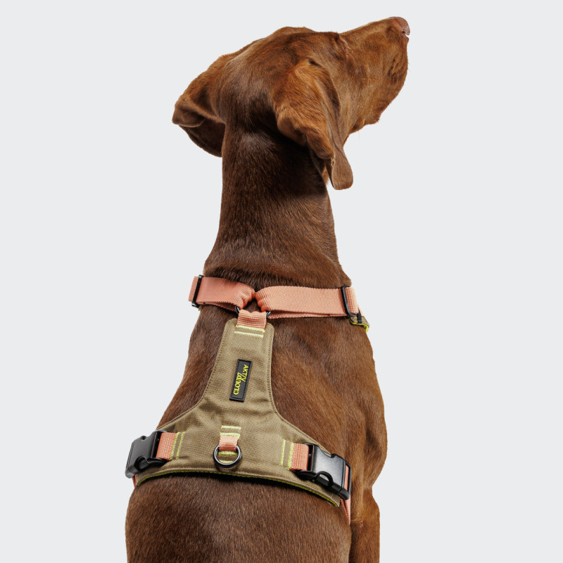Szelki Cloud7 Cordura Peach detal