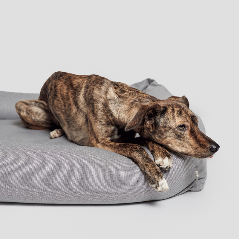 Legowisko Cloud7 Sleepy Deluxe Tweed Grey z psem