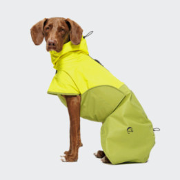 Płaszcz przeciwdeszczowy Cloud7 AKTIV Neon Green/Light Olive na psie