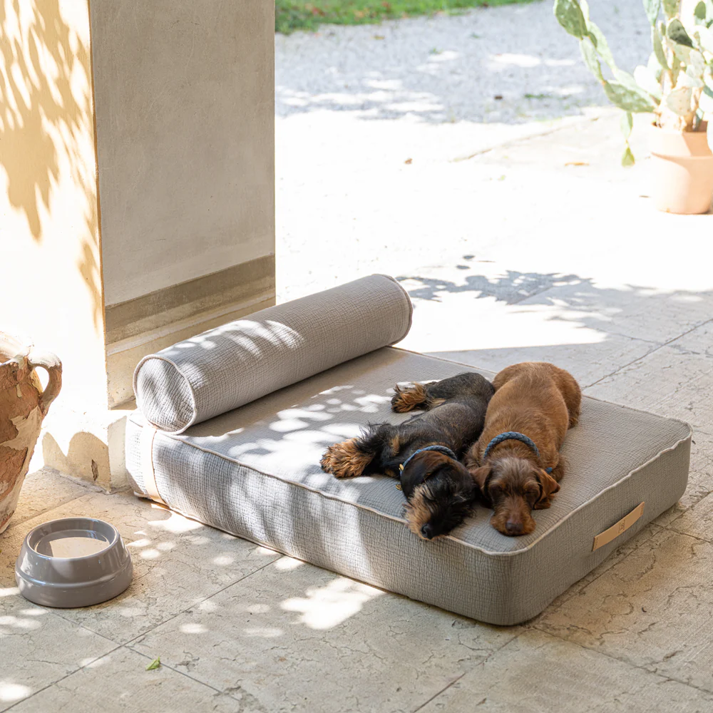 Legowisko jako element wnętrza. Filozofia Cloud7 i 2.8 Design for Dogs.