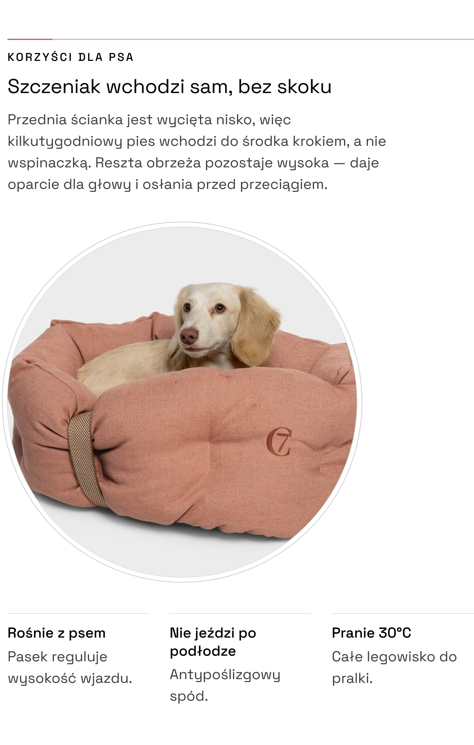 Legowisko LTTL Snoozy Dusty Rose — niski wjazd dla szczeniaka, antypoślizgowy spód