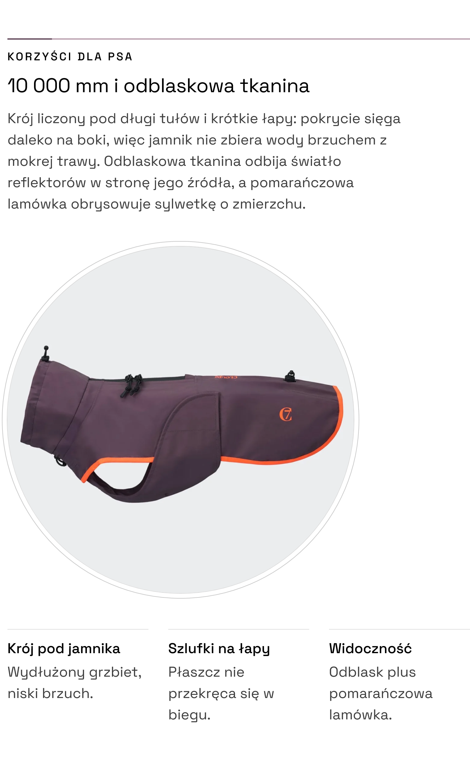 Płaszcz AKTIV dla jamnika Aubergine/Orange — 10 000 mm, odblaskowa tkanina