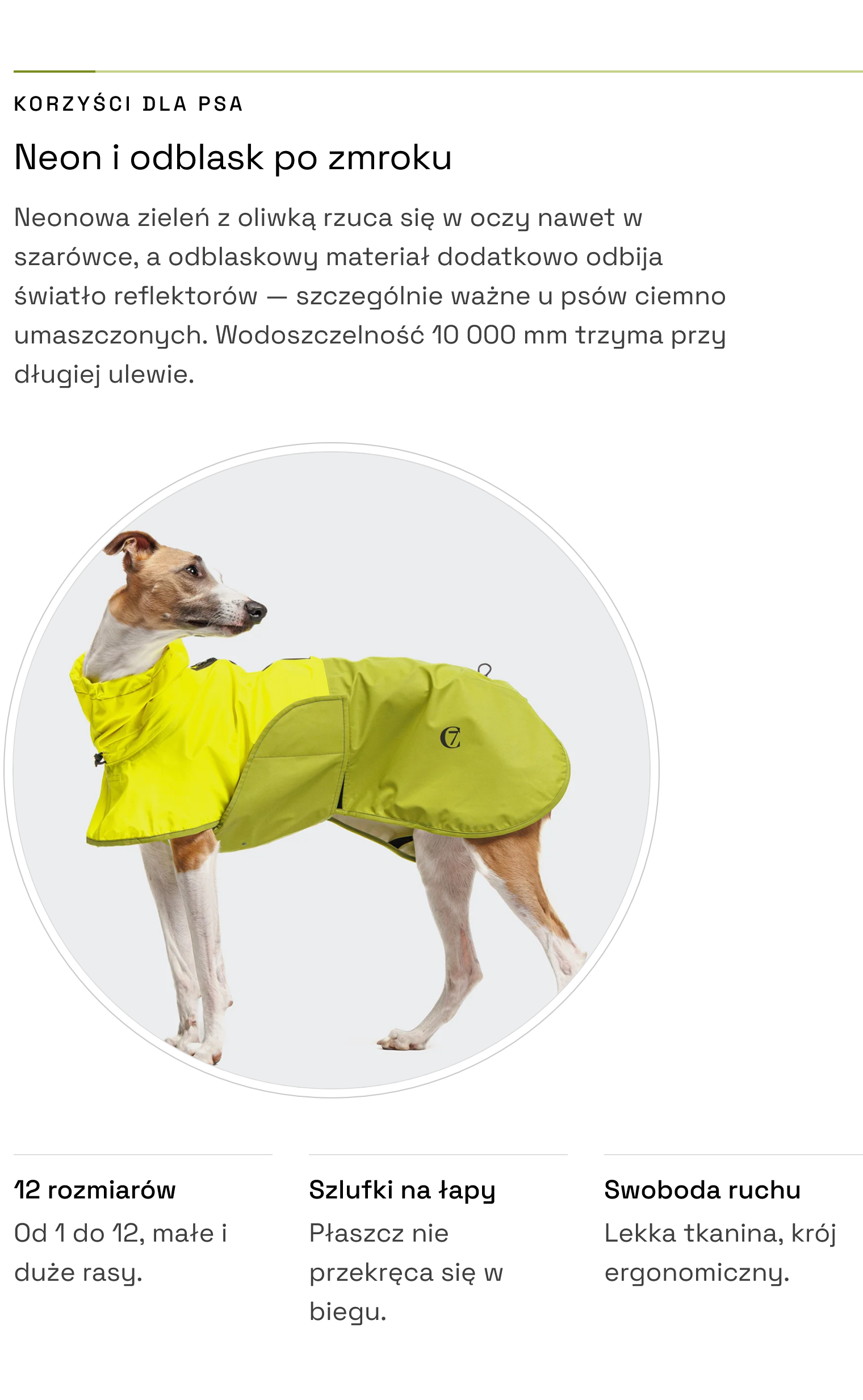 Płaszcz AKTIV Neon Green/Light Olive — neonowy kolor i odblask, słup wody 10 000 mm