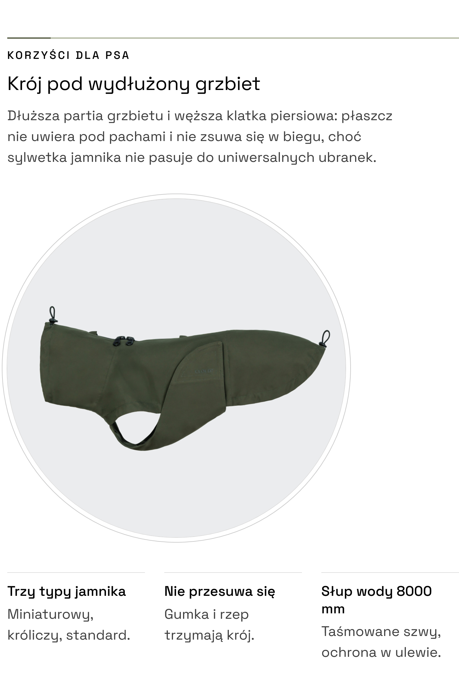 Płaszcz dla jamnika Dublin 2.0 Dark Olive — krój pod wydłużony grzbiet