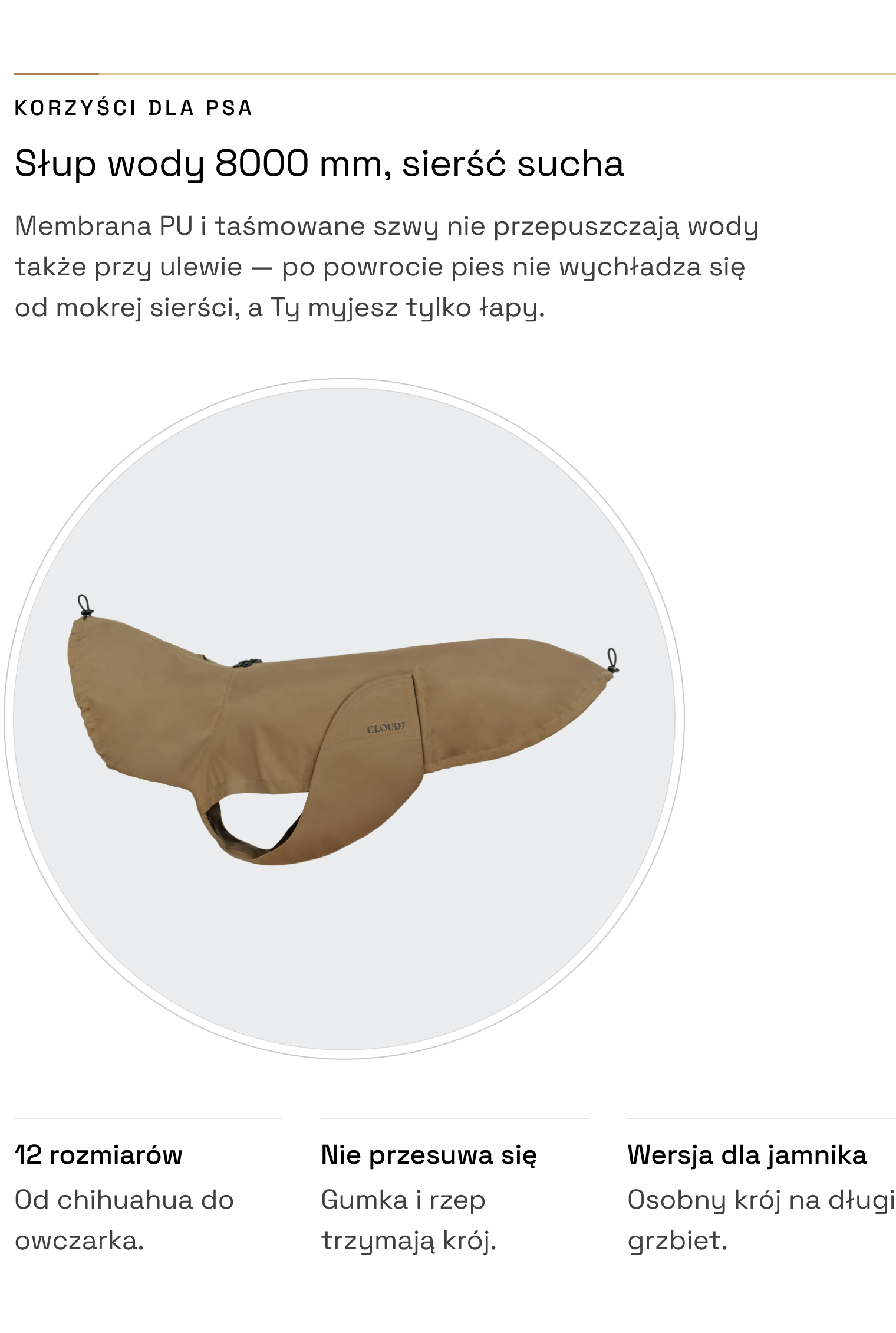 Płaszcz Dublin 2.0 Sandy Brown — słup wody 8000 mm, 12 rozmiarów