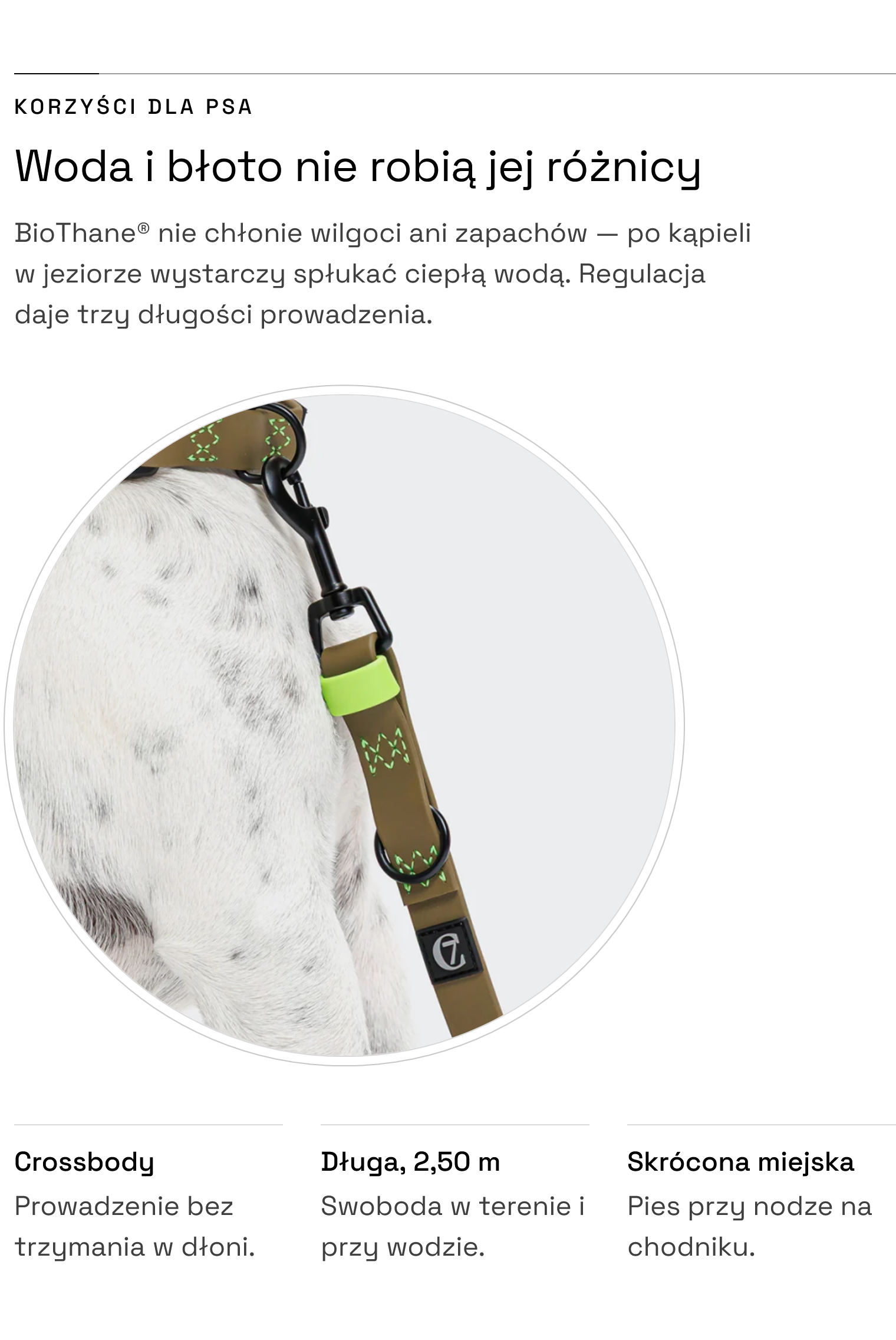 Smycz Ipanema Olive-Neongreen — trzy długości prowadzenia, wodoodporny BioThane