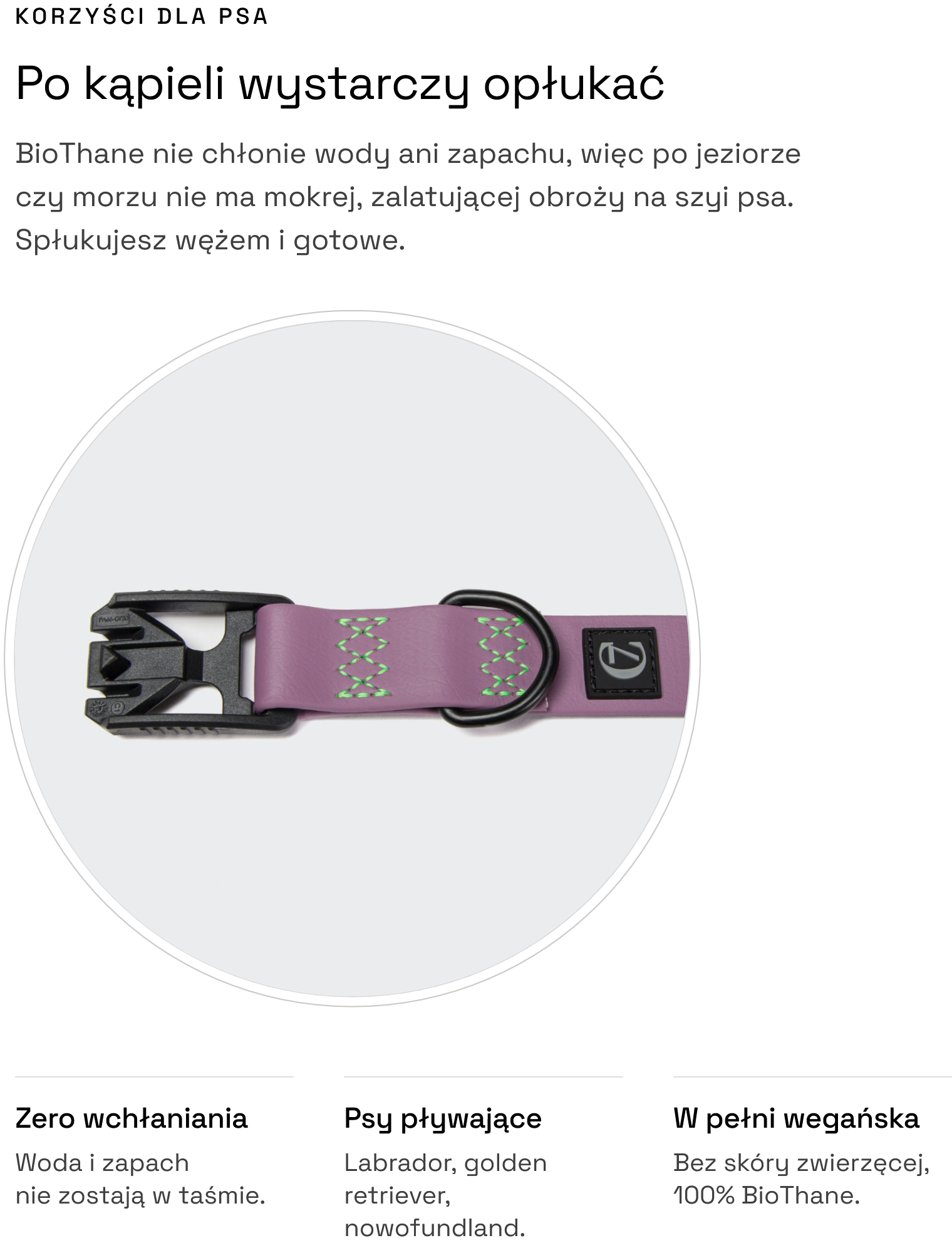 Obroża dla psa BioThane Ipanema Lilac: korzyści dla psa