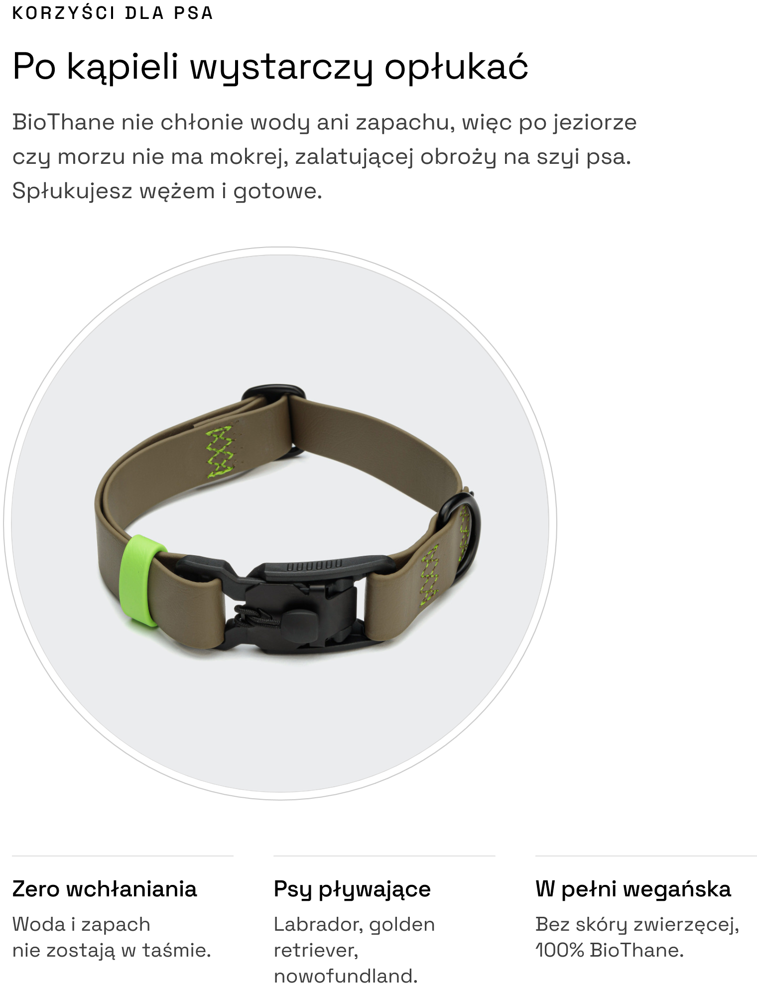 Obroża dla psa BioThane Ipanema Olive-Neongreen: korzyści dla psa