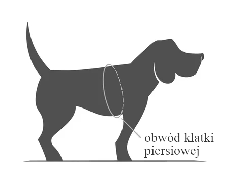 Szelki - jak zmierzyć obwód klatki piersiowej psa